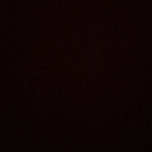 Meet your Posher, Bailey